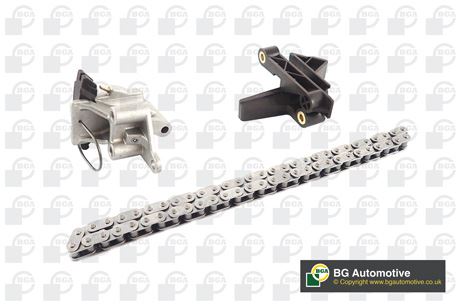BMW EKSANTRIK ZINCIR SETI UST (ZINCIR+GERICI+KIZAK) BMW M50 M52 M54 E36 E46 E38 E39 E60 E65 E83 E53  X5
