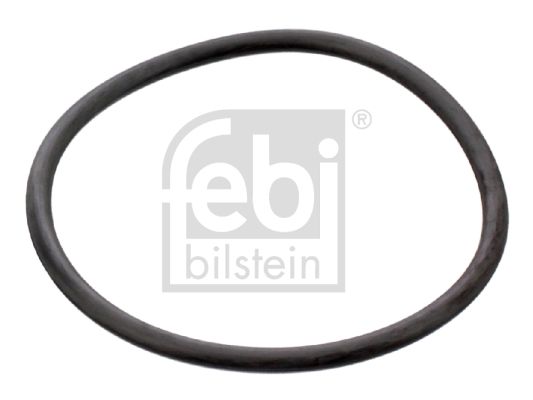 VAG TERMOSTAT LASTIGI (60X3,5MM) BORA CRAFTER EOS GOLF IV V PASSAT T4 T5 A100 A200 A3 A4 A6 A8 LEON TOLE