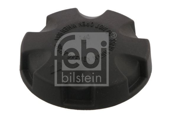 BMW RADYATOR YEDEK SU DEPO KAPAGI BMW E81 E82 E87 E88 F20 F21