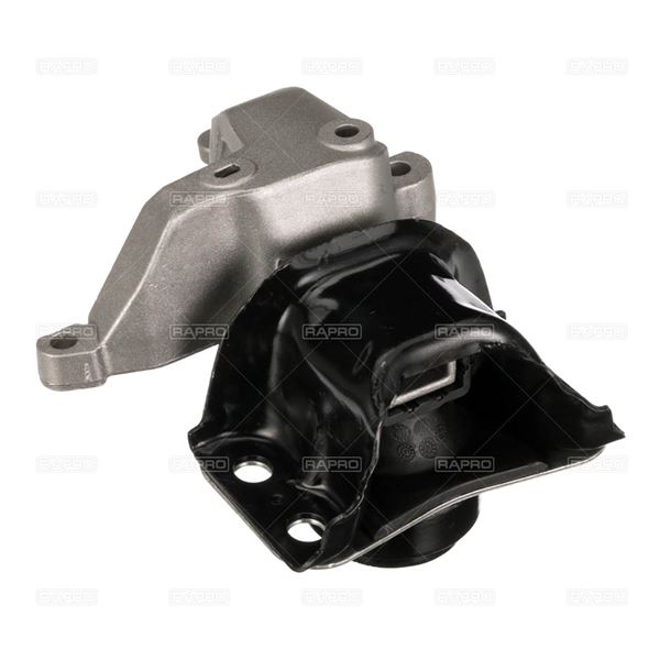 RENAULT MOTOR TAKOZU YAGLI CLIO SYMBOL YM09>TWINGO 07>