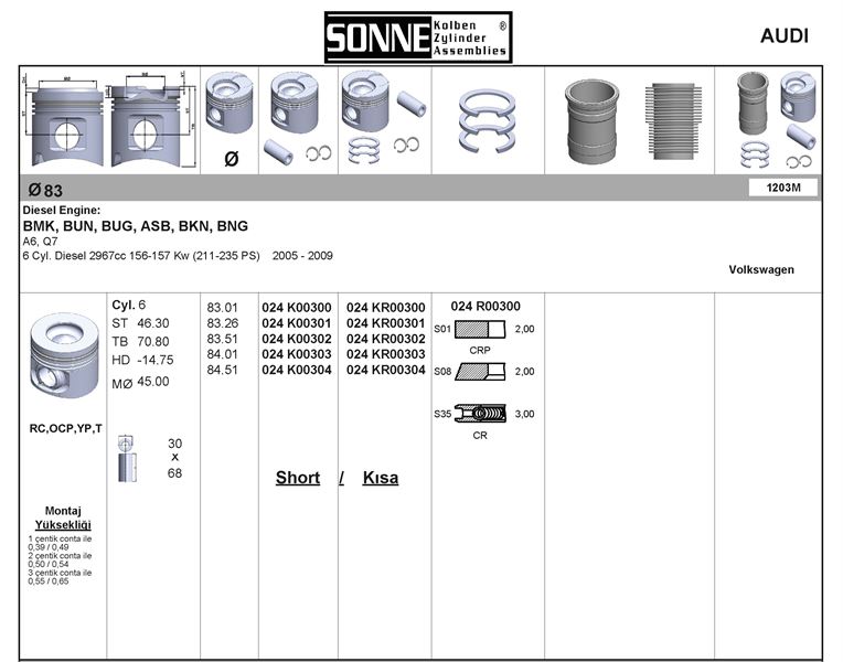 VAG PISTON+SEGMAN (83,01mm STD) PHAETON A4 A6 A8 Q7 TOUAREG 3,0TDI (204 / 211 / 224 / 225 / 233 PS) ASB