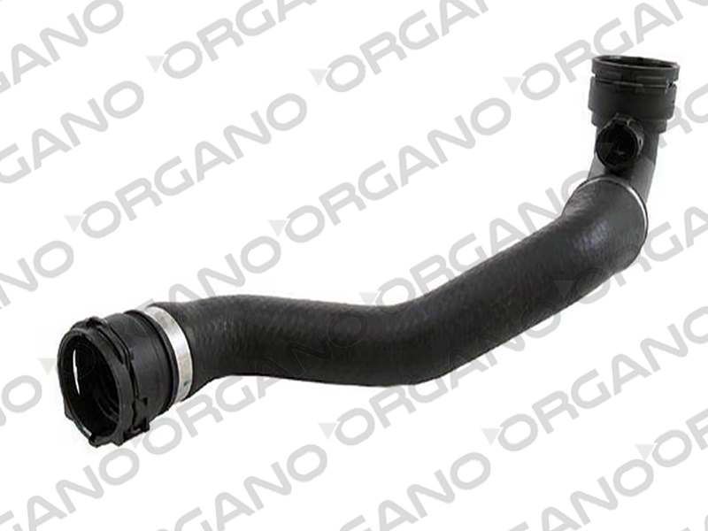BMW RADYATOR ALT HORTUMU BMW M54 E53 99>06
