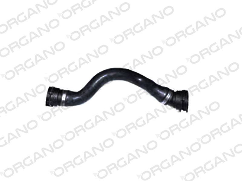 BMW RADYATOR ALT HORTUMU BMW  E46 M47N