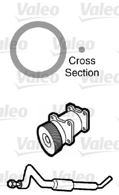 TOYOTA CONTA TOYOTA (x20)