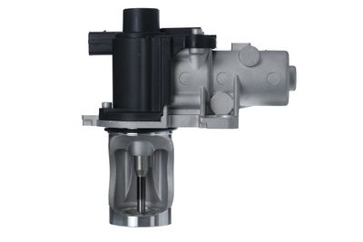 VAG EGR VALFI A4 01>08 PASSAT 03>05 T5 03>07 1.9TDI BKE