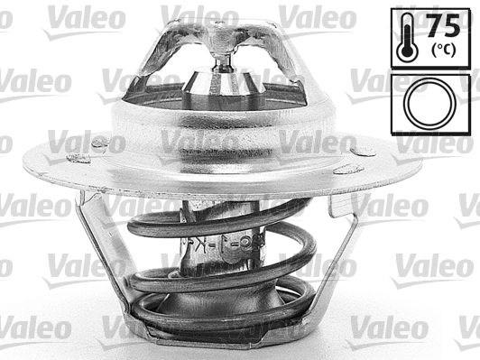 PSA TERMOSTAT 204-304 75C