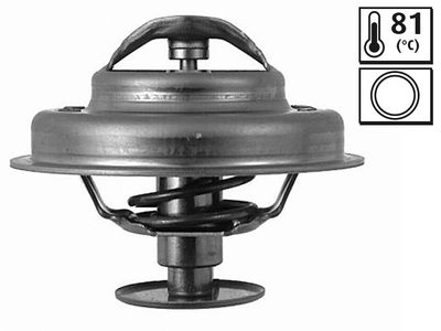 PSA TERMOSTAT CITROEN / PEUGEOT