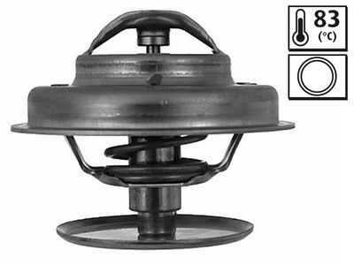 TERMOSTAT FORD PEUGEOT – VL819839