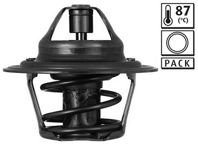 TERMOSTAT AUDI FORD – VL819853