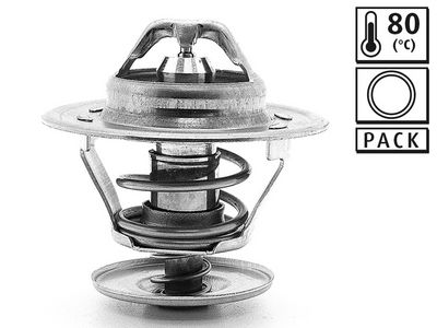 TERMOSTAT AUDI-PORSCHE-VW – VL819867