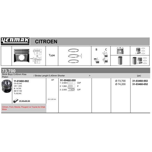 FORD PISTON SEGMAN P107 P1007 P206 P307 BIPPER NEMO C1 C2 C3 DV4TD (1,4HDI 8V) FORD FIESTA 1,4TDCI (73,70